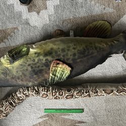 Plush Fish Big Snake