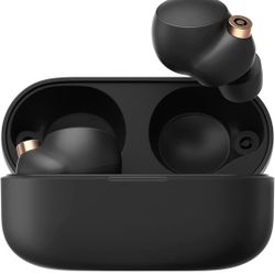 Sony WF-1000XM4 Wireless Noise Canceling Headphones with Alexa Built-in - Black