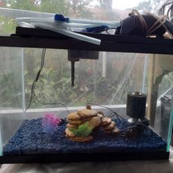 20 Gallon Aquarium 