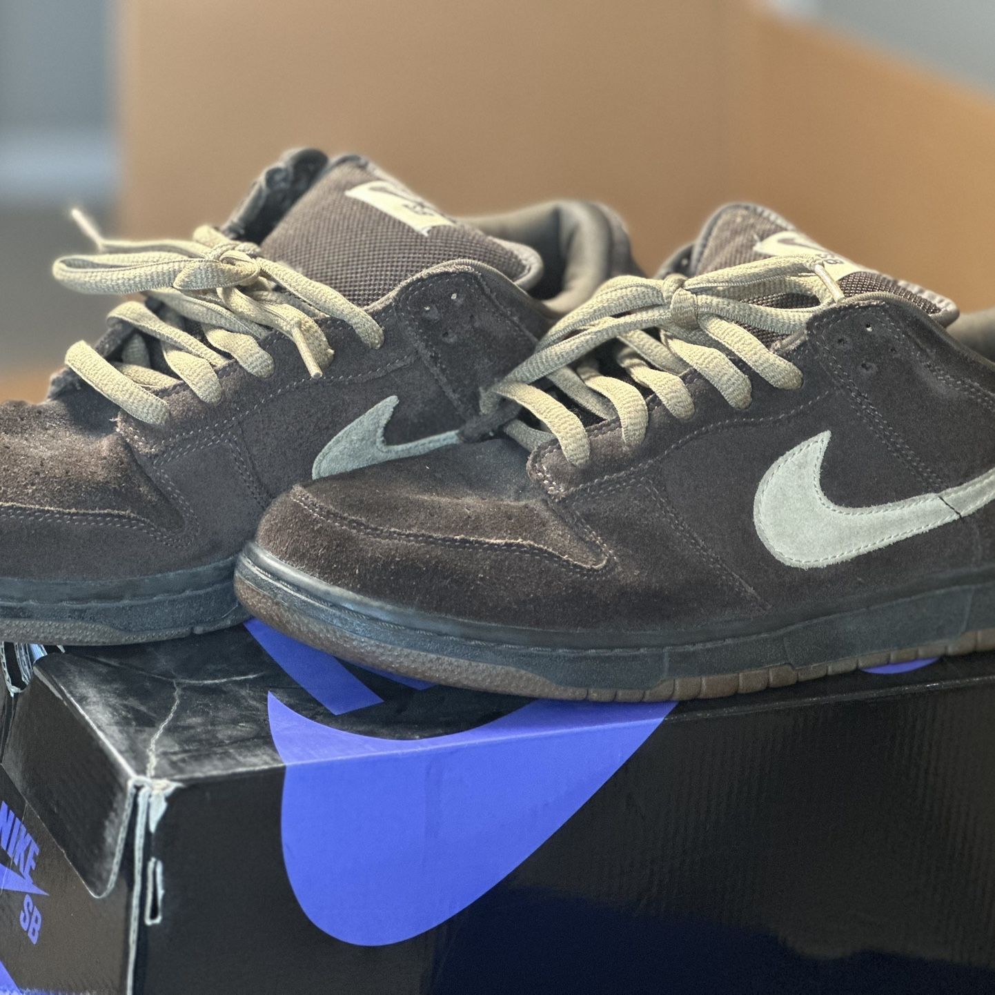 Dunk Low Pro SB `Mocha