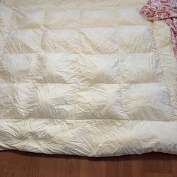 Queen L.L.Bean Down Comforter &/or Duvet Cover 