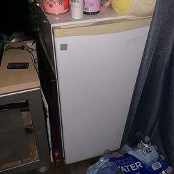 Mini fridge