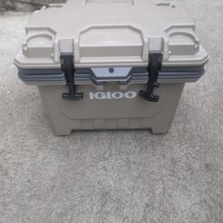 Igloo 24qt cooler 