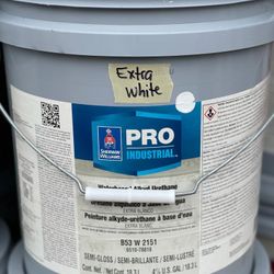 Extra White Paint 