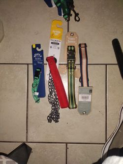 Dog Collars