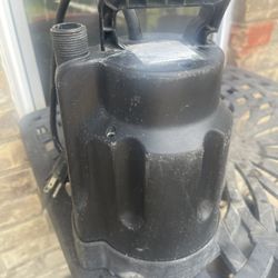 1/3 Hp, 115 Volt, Submersible Utility Pump