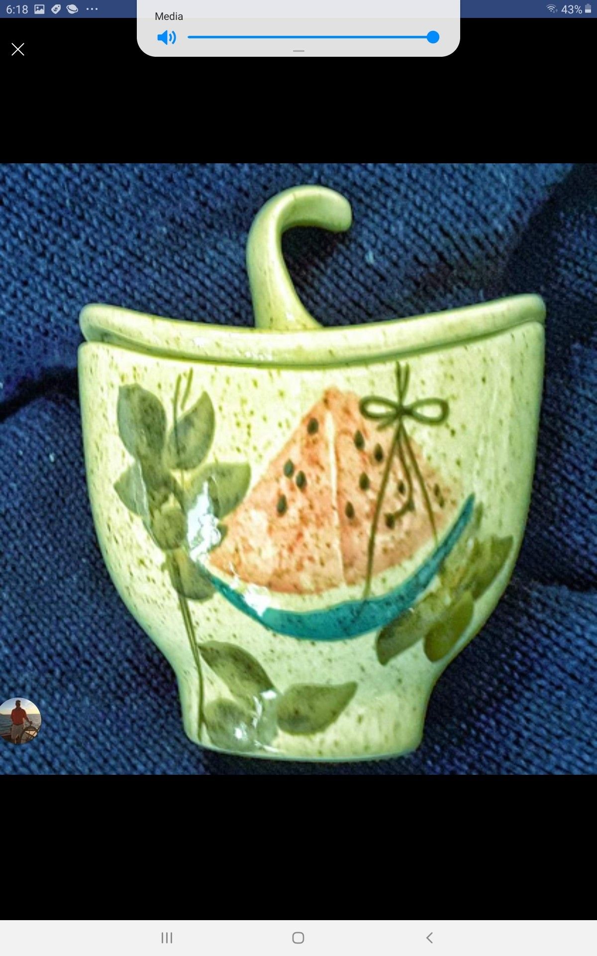 Red wing Tampico covered sugar bowl with lid PERFECT ! Watermelon fruit pattern