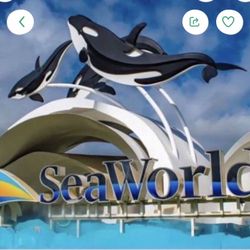 Sea World Tickets 