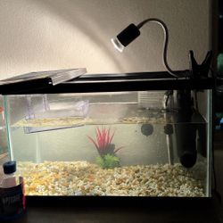  Aquarium Tank with Equipments