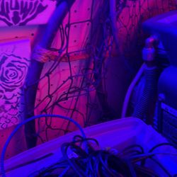 Crab Pot And Fishing Net