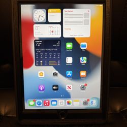 iPad Air 2 (64GB) w/OtterBox Factory reset 