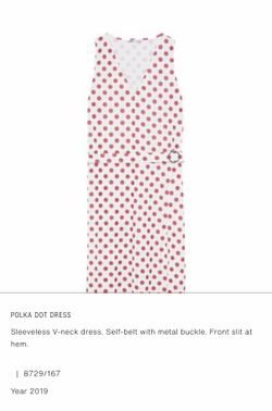 Polka Dot Dress