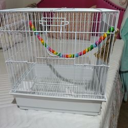 Bird Cage 
