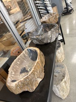 Petrified Wood Vessel Sinks