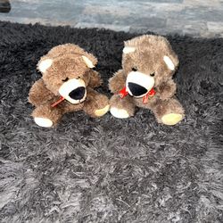 Plush Toy 🧸 Twin Bear 