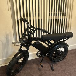 Electric Bike