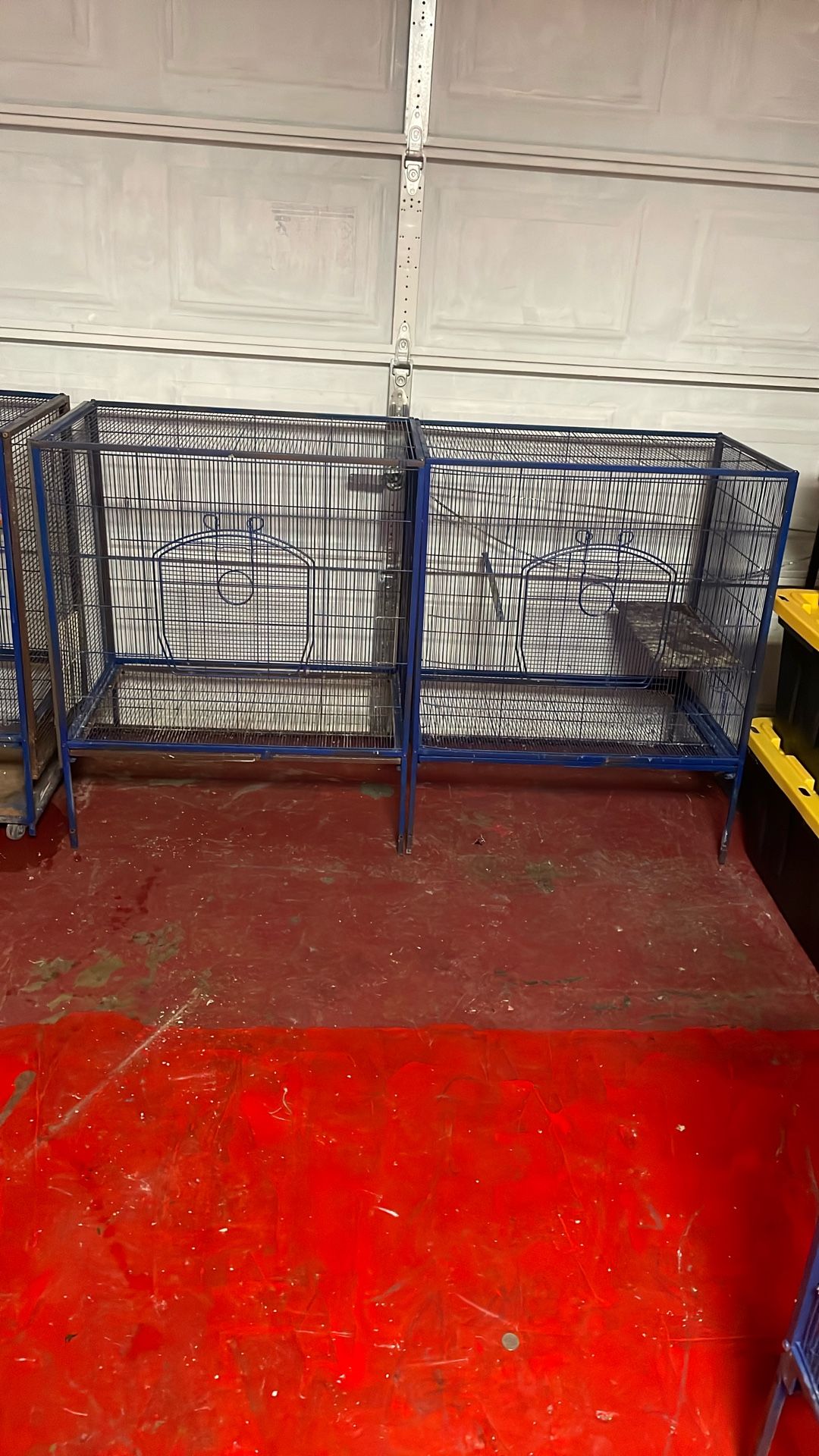 Bird Cage