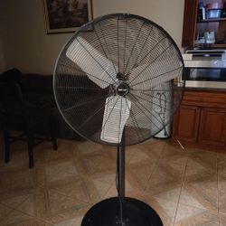 Fan 