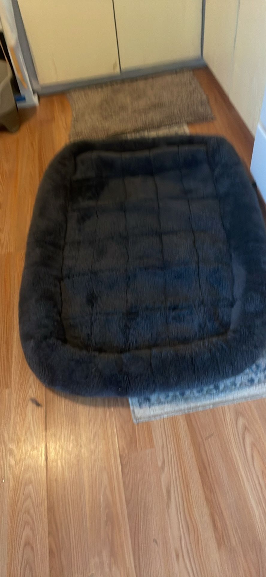 Dog Bed. Extra Large Black Located In Branford .