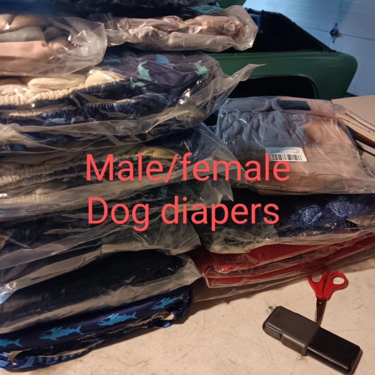 Dog Diapers 