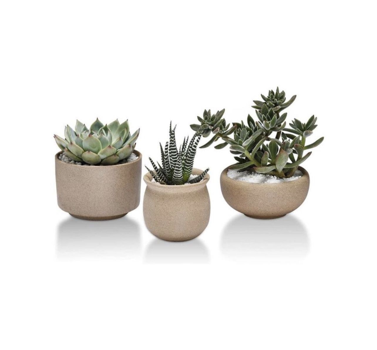 🌸 $10 Brand New In Box 3 Pack Ceramic Plant Pots (plant Not Include)