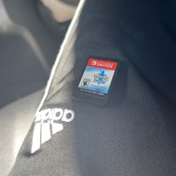 Pokemon Sword Nintendo Switch Game Cartridge, USA Version