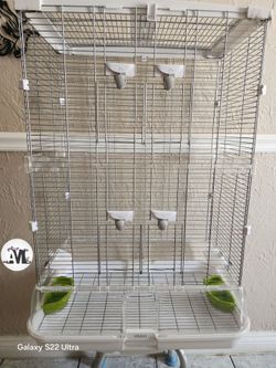 Vision Bird Cage