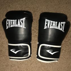 Everlast Boxing Gloves