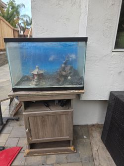 Free 20 gallon aquarium with stand