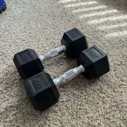 20lbs Dumbbells 