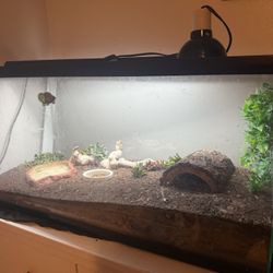 Reptile Tank! Large