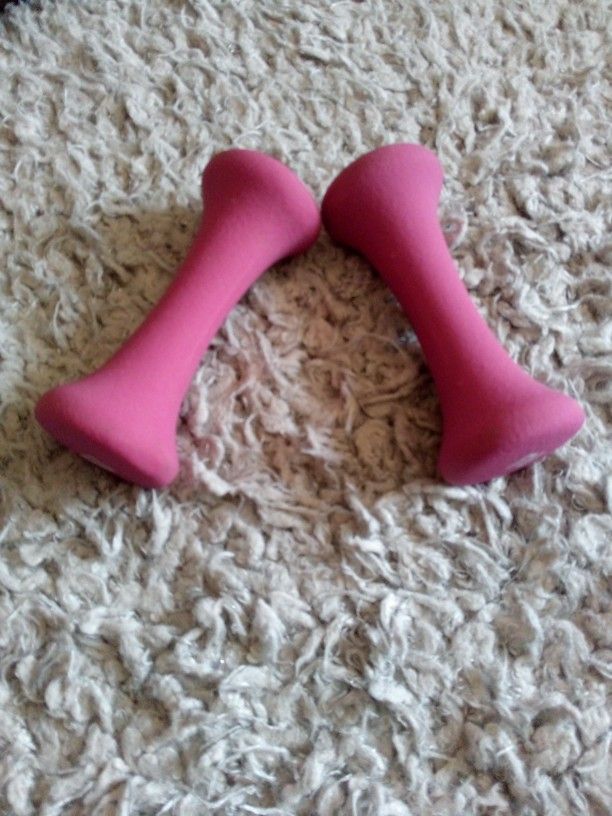 Exercise Weights Good Condition$5.00 Each