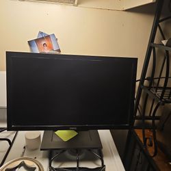 Dell 19in Monitor 