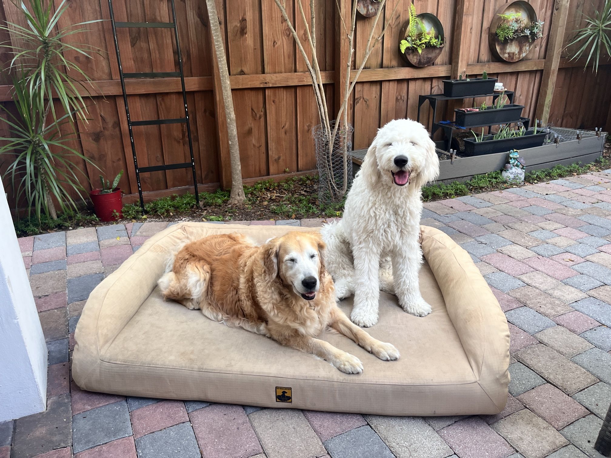 HUGE! K9 Ballistics Tough Durable Bolster Dog Bed XL