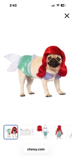 Ariel Costume (small)