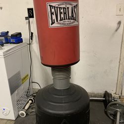 Red Everest Standing Punching Bag