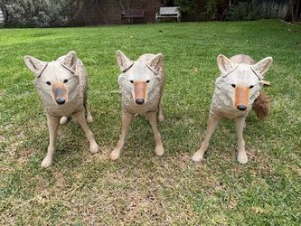 Coyote decoys