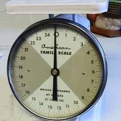 Vintage American Family Scale White 25lb Working