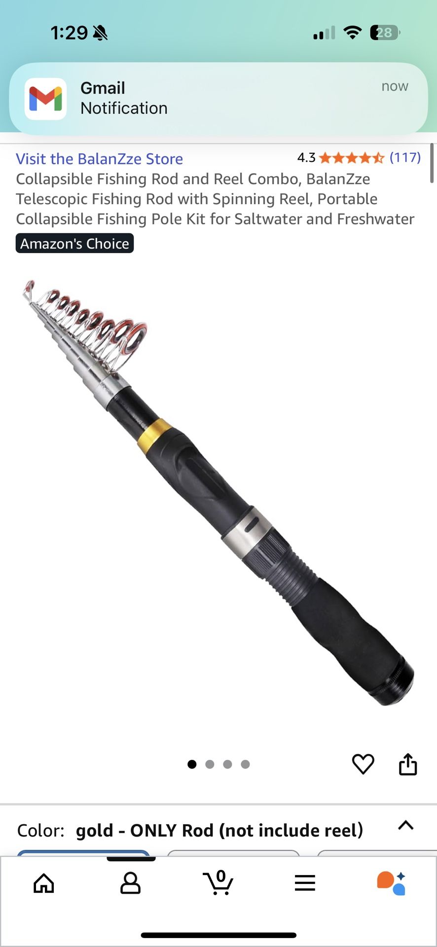 Retractable Fishing Pole