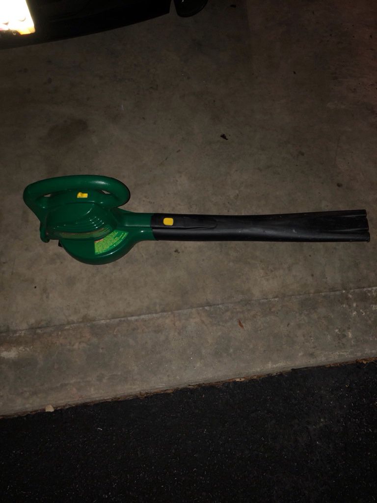 Electric leave blower. Rarely used but works fine.