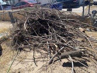 Free Wood