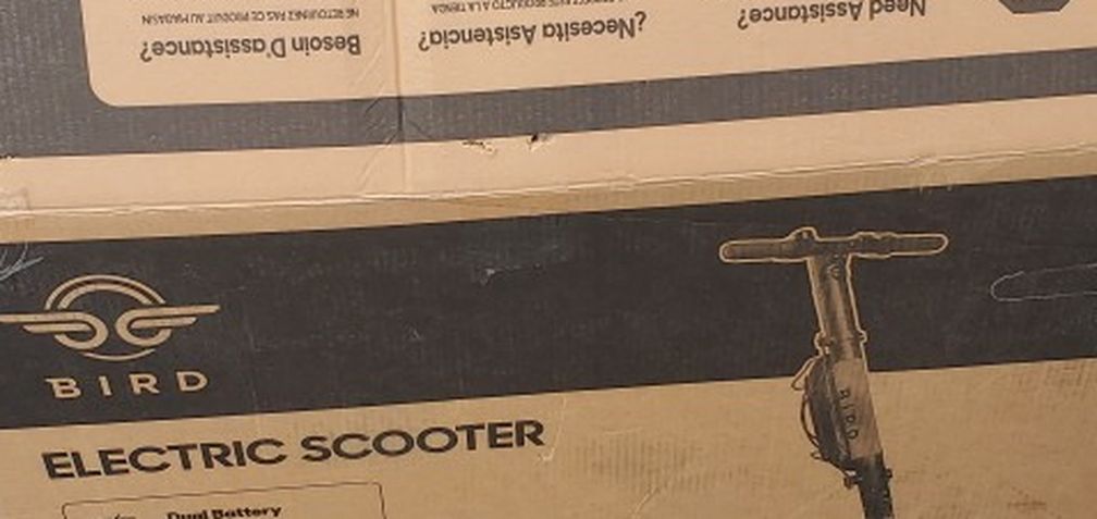 Bird Scooter