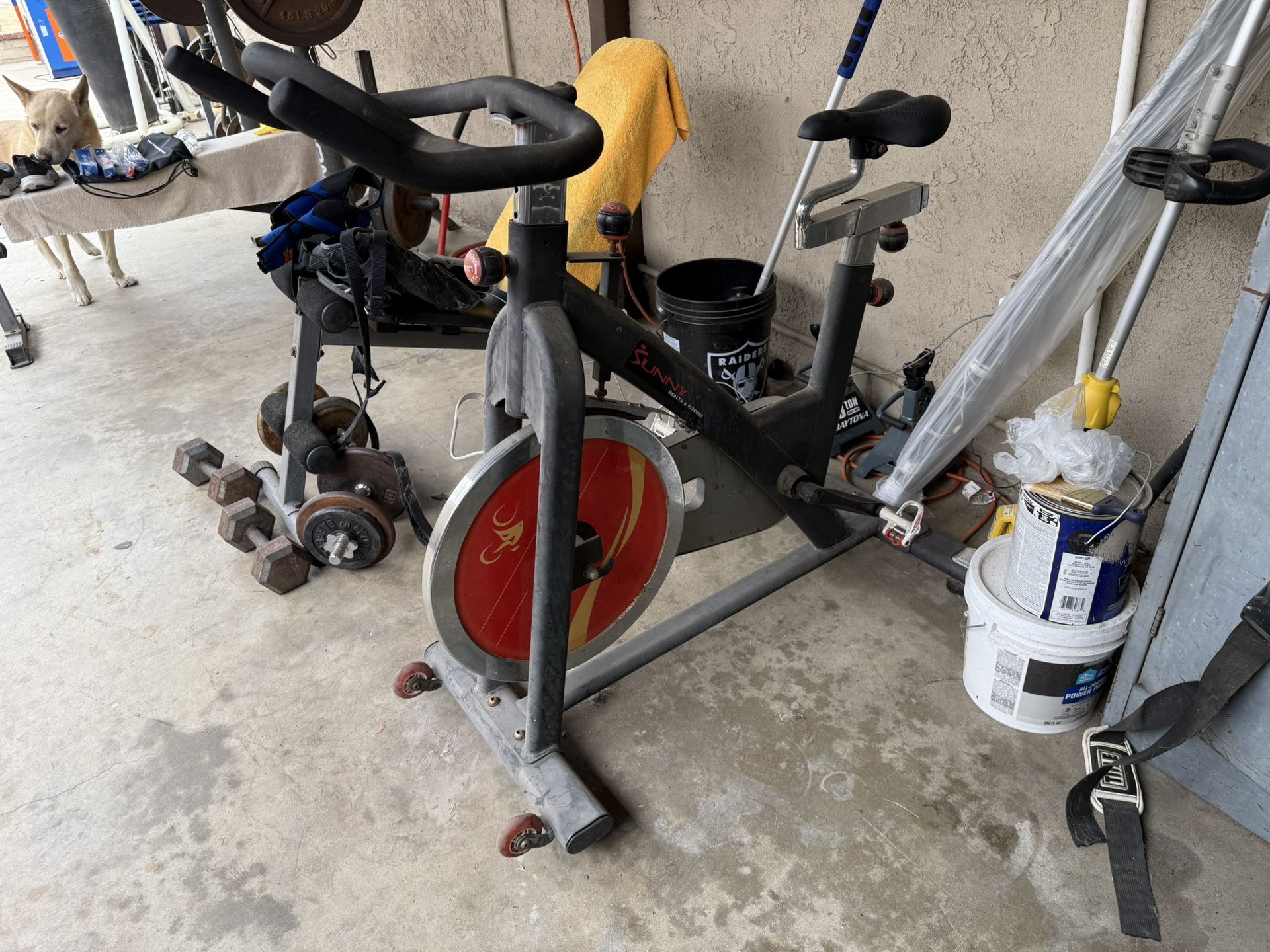 Sunny Bike Health And Fitness