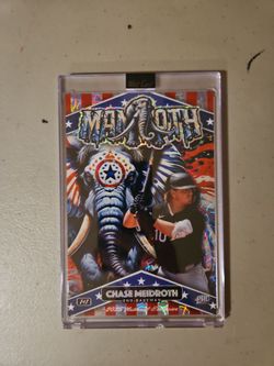 Chase Meidroth wildcard 1 of 1 4 x 6 card