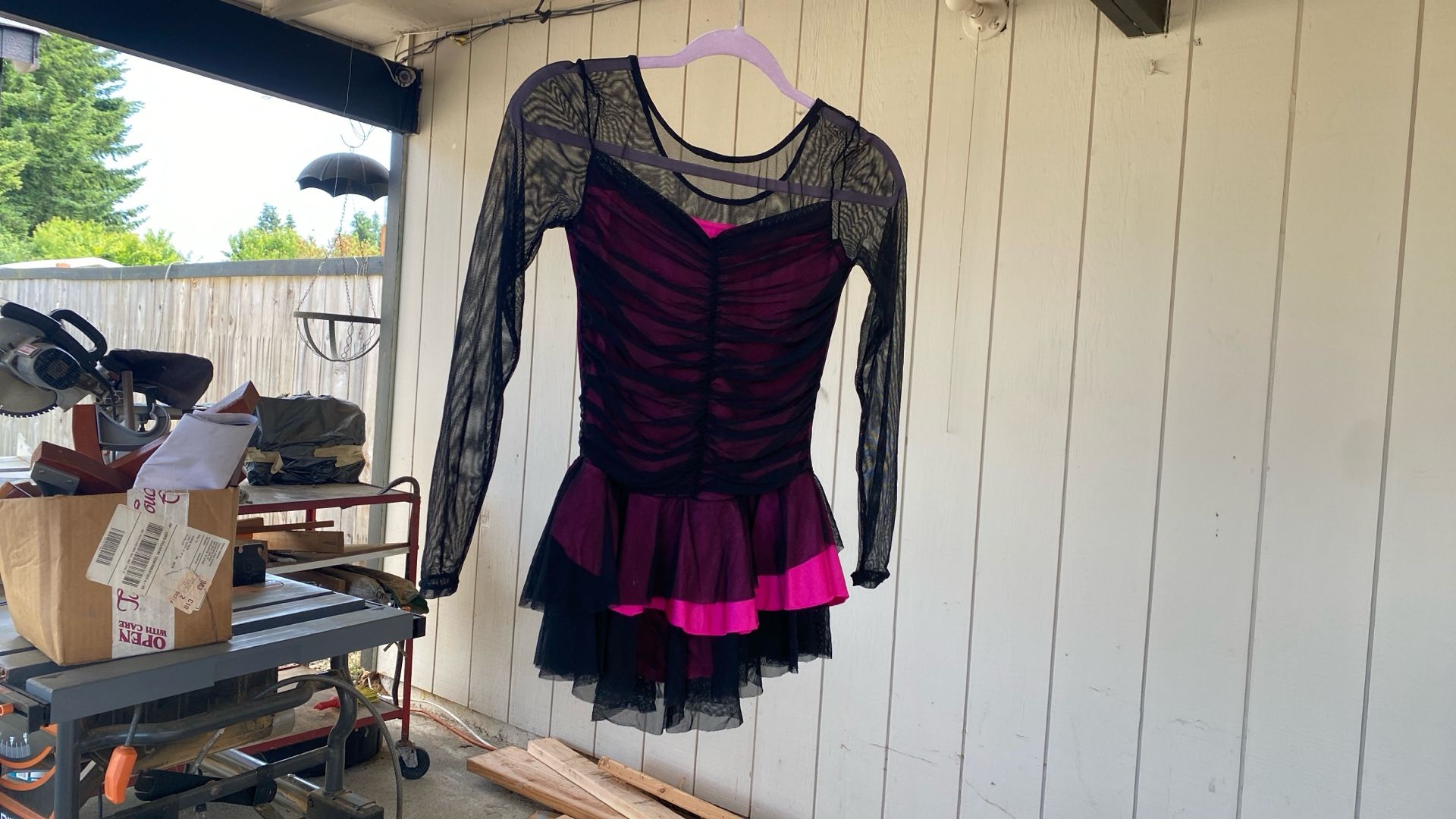 Skating Dress