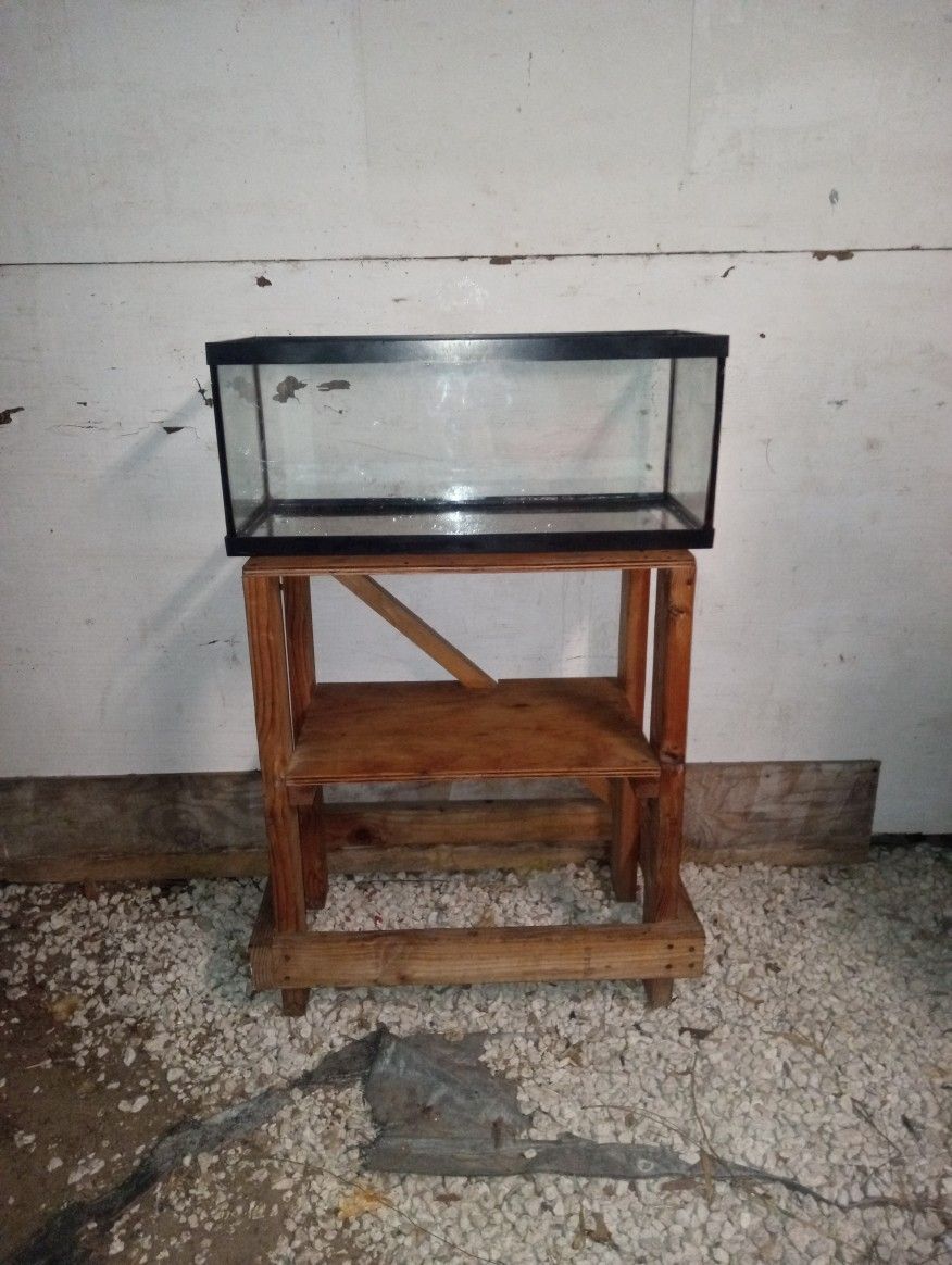 Lizard Tank
