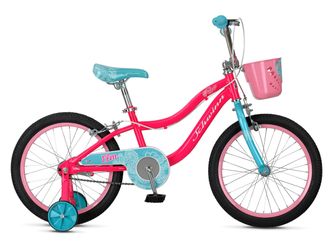 New Schwinn Bicycle