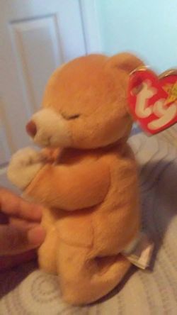 Ty hope the bear
