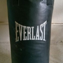 Everlast Punching Bag