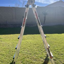 Little Giant Quantum 26 Ft Ladder
